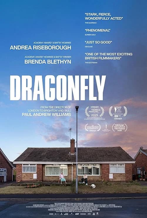 Dragonfly film posteri