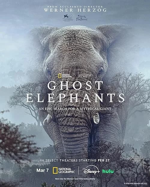 Ghost Elephants film posteri