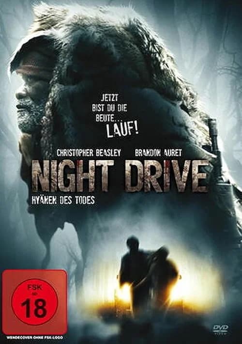 Night Drive film posteri