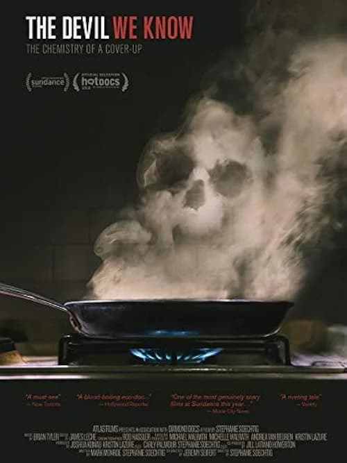 The Devil We Know film posteri